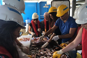 The MCR-IOE team joins the scientific survey on fisheries resources in Lebanon